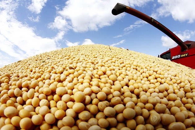 BOOM SOJERO. Agroexportadores liquidaron más de u$s1.734 millones tras la suba internacional.