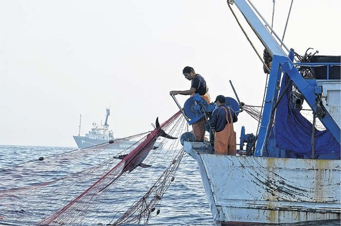 DIPUTADOS: dieron media sanción al proyecto de pesca ilegal, la que abrirá nuevas fuentes laborales